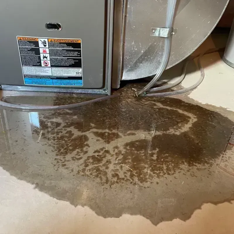 Appliance Leak Cleanup in Jeffersontown, KY